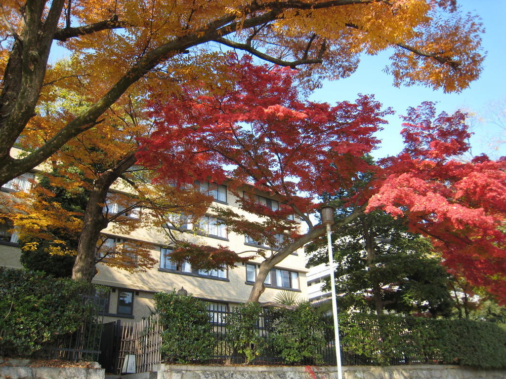 Kkr Kyoto Kuniso Hotel Exterior foto